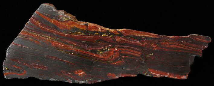 Polished Tiger Iron Stromatolite - ( Billion Years) #62733
